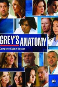 Greys Anatomy: Sezona 8