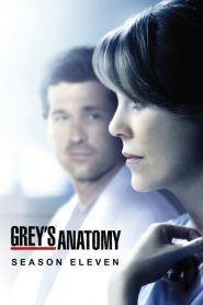 Greys Anatomy: Sezona 11