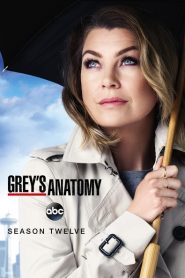 Greys Anatomy: Sezona 12