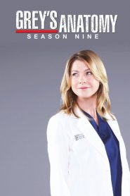 Greys Anatomy: Sezona 9