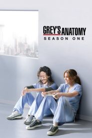 Greys Anatomy: Sezona 1