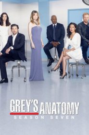 Greys Anatomy: Sezona 7
