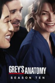 Greys Anatomy: Sezona 10