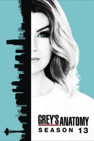 Greys Anatomy: Sezona 13