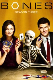 Bones: Sezona 3