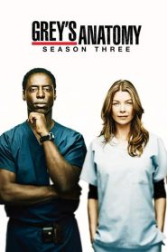 Greys Anatomy: Sezona 3