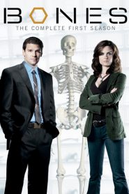Bones: Sezona 1