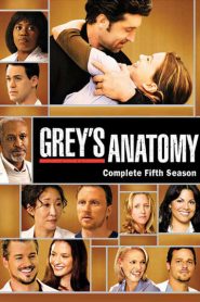 Greys Anatomy: Sezona 5