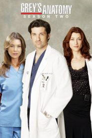 Greys Anatomy: Sezona 2