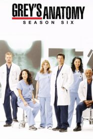 Greys Anatomy: Sezona 6