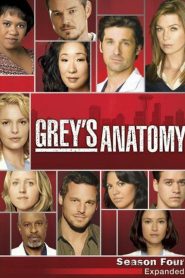 Greys Anatomy: Sezona 4