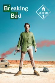Breaking Bad: Sezona 1