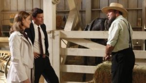 Bones 5×3 online sa prevodom