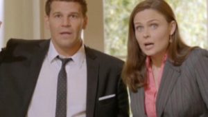 Bones 8×13 online sa prevodom