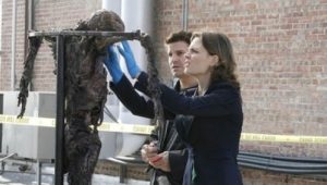 Bones 2×11 online sa prevodom