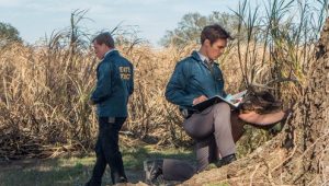 True Detective 1×1 online sa prevodom