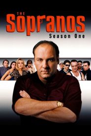 The Sopranos: Sezona 1
