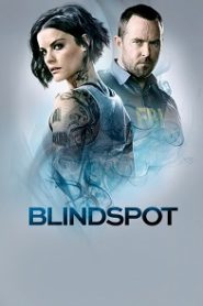 Blindspot online sa prevodom