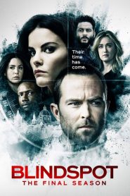 Blindspot Sezona 5