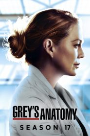 Grey’s Anatomy Sezona 17
