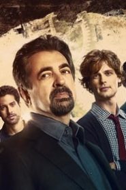 Criminal Minds online sa prevodom