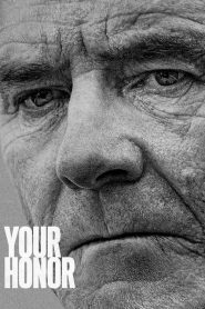 Your Honor online sa prevodom