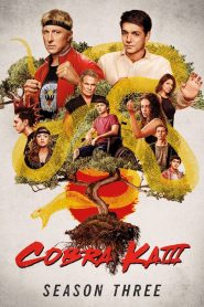 Cobra Kai Sezona 3