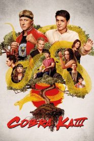 Cobra Kai online sa prevodom
