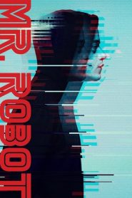 Mr Robot online sa prevodom