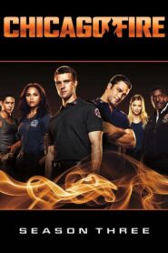 Chicago Fire Sezona 3