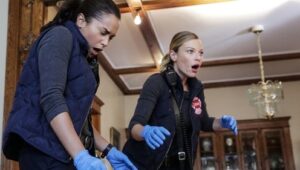 Chicago Fire Sezona 2 Epizoda 4 online sa prevodom