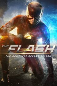 The Flash Sezona 2