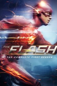 The Flash Sezona 1