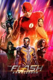 The Flash Sezona 8