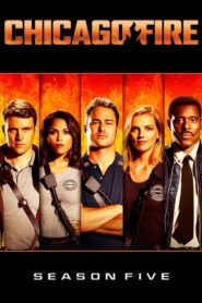 Chicago Fire Sezona 5