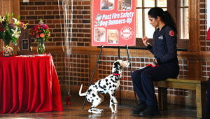 Chicago Fire Sezona 7 Epizoda 11 online sa prevodom