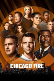 Chicago Fire online sa prevodom