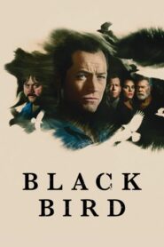 Black Bird online sa prevodom
