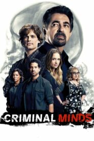 Criminal Minds Sezona 12