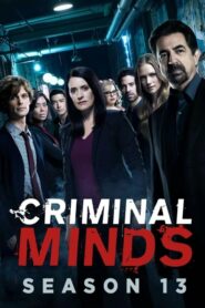 Criminal Minds Sezona 13