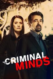 Criminal Minds Sezona 15