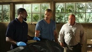 Criminal Minds Sezona 5 Epizoda 20 online sa prevodom